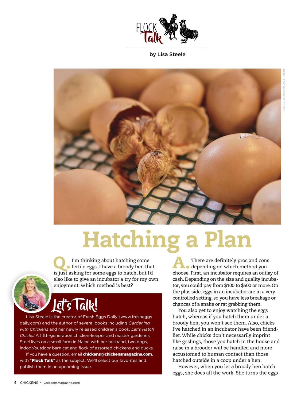 Chickens Magazine Preview Pages