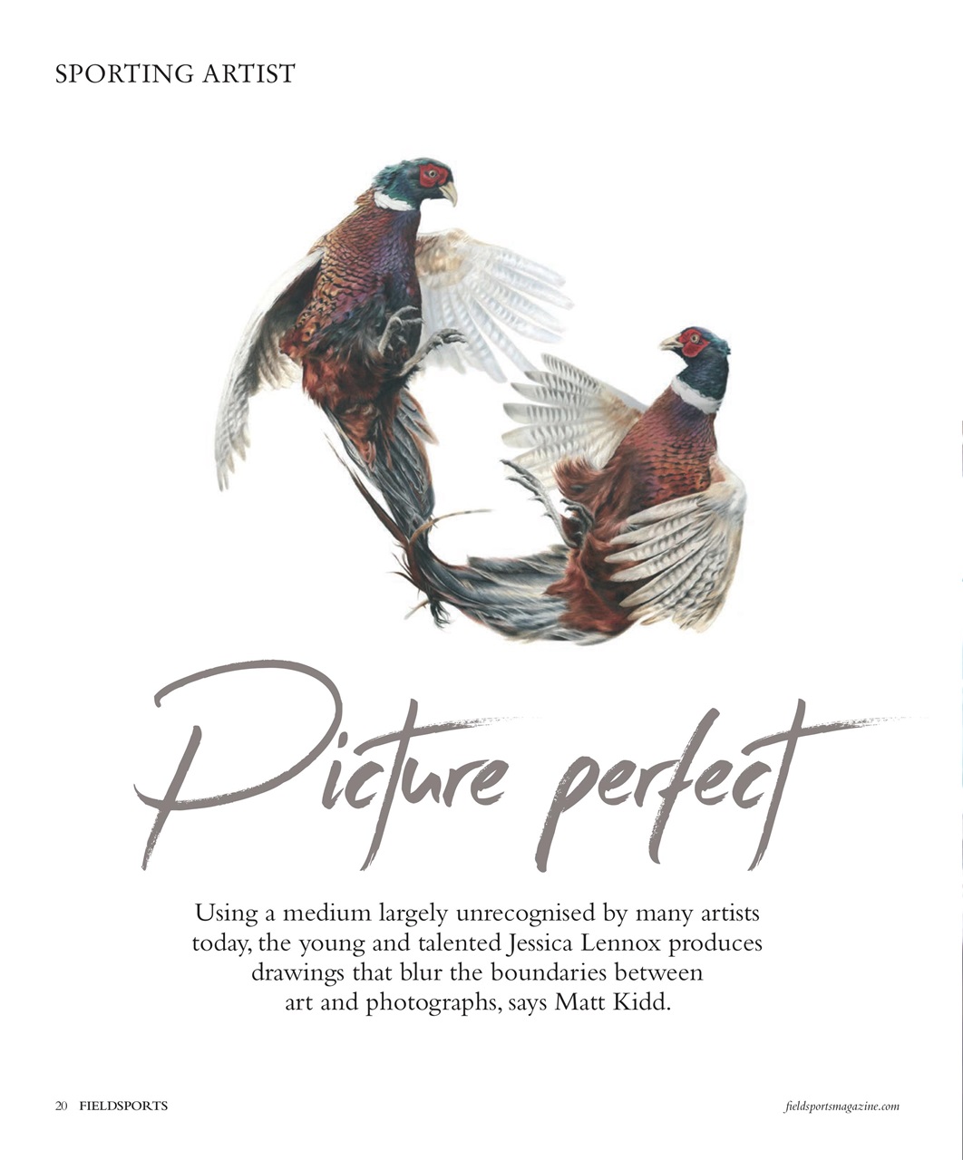 Fieldsports Journal Preview Pages