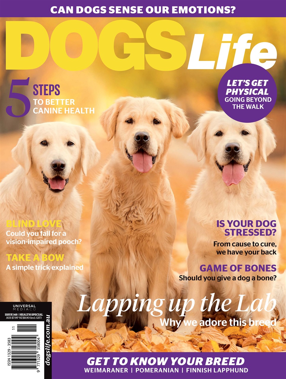 Dogs Life Preview Pages