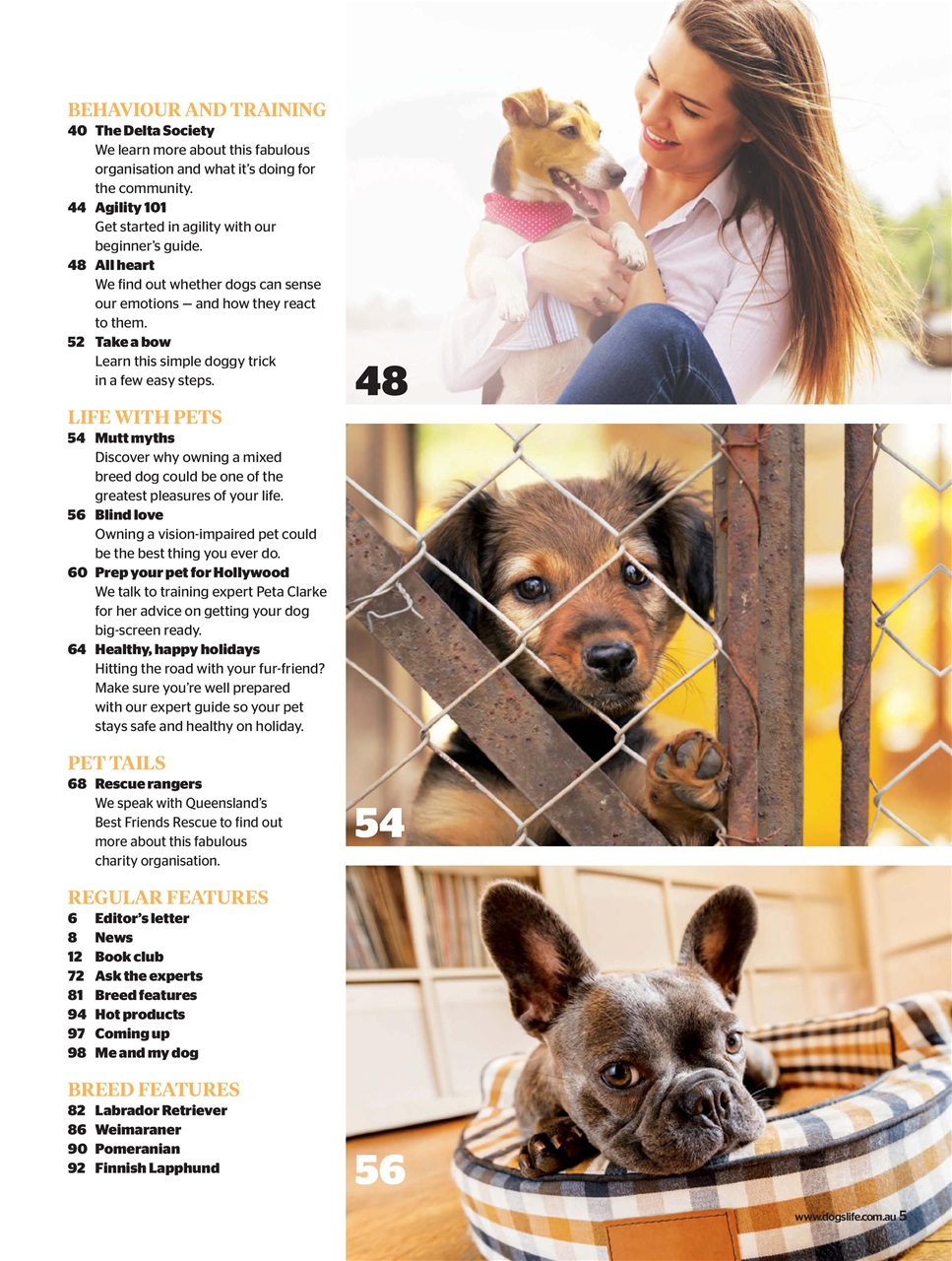 Dogs Life Preview Pages