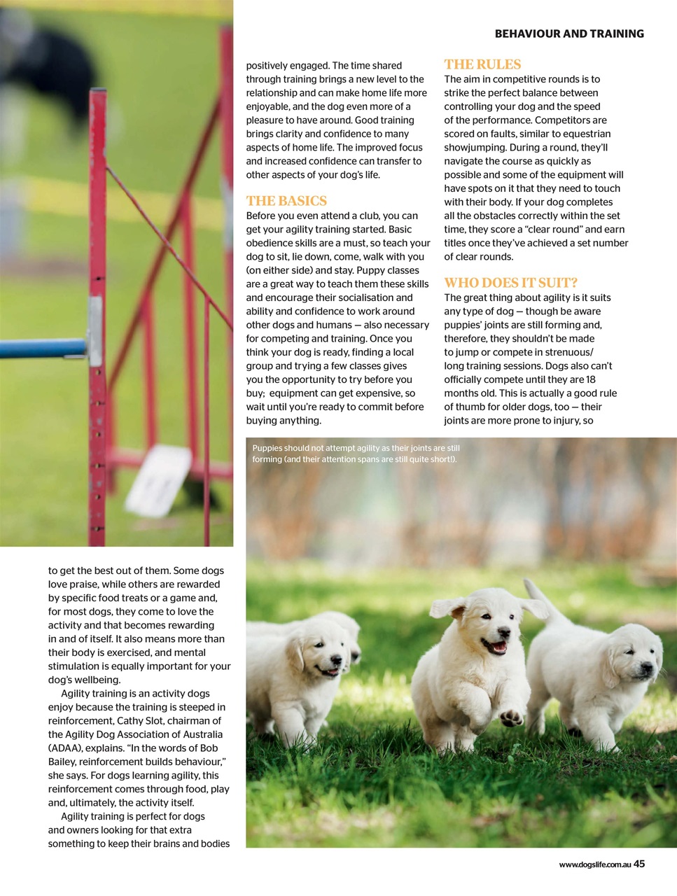 Dogs Life Preview Pages