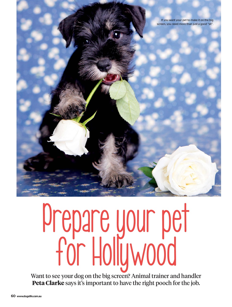 Dogs Life Preview Pages