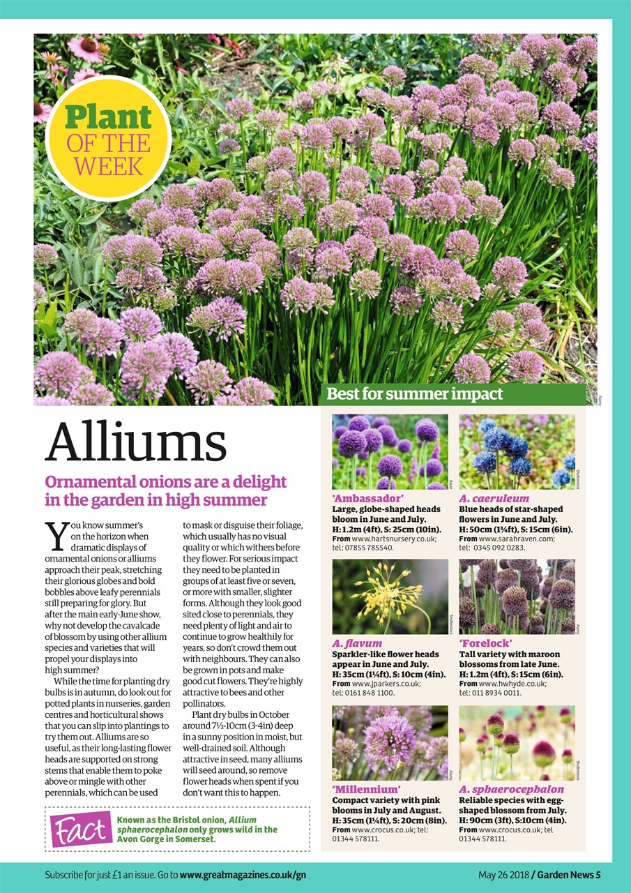 Garden News Preview Pages