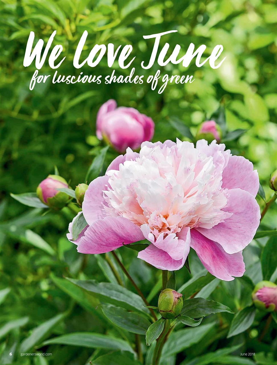 BBC Gardeners’ World Magazine Preview Pages