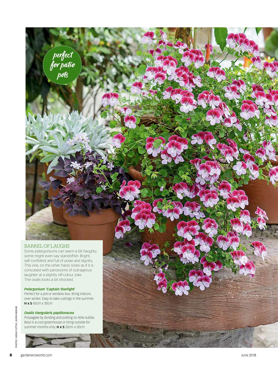 BBC Gardeners’ World Magazine Preview Pages