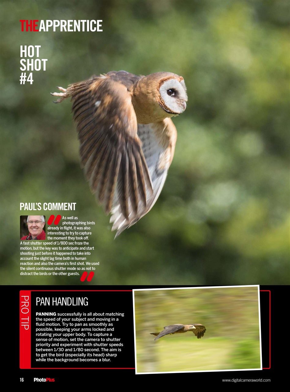 PhotoPlus Preview Pages