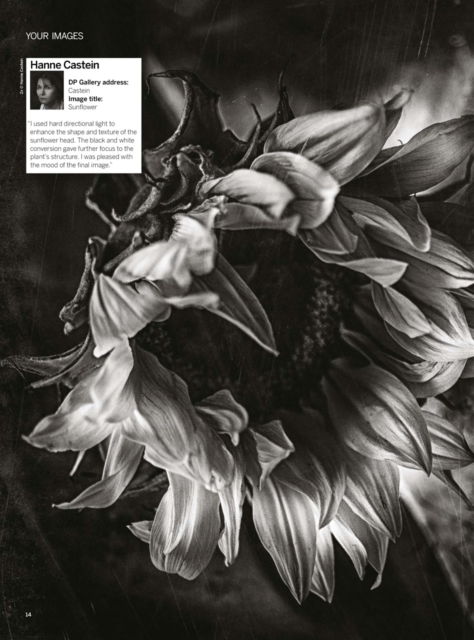 Digital Photographer Preview Pages