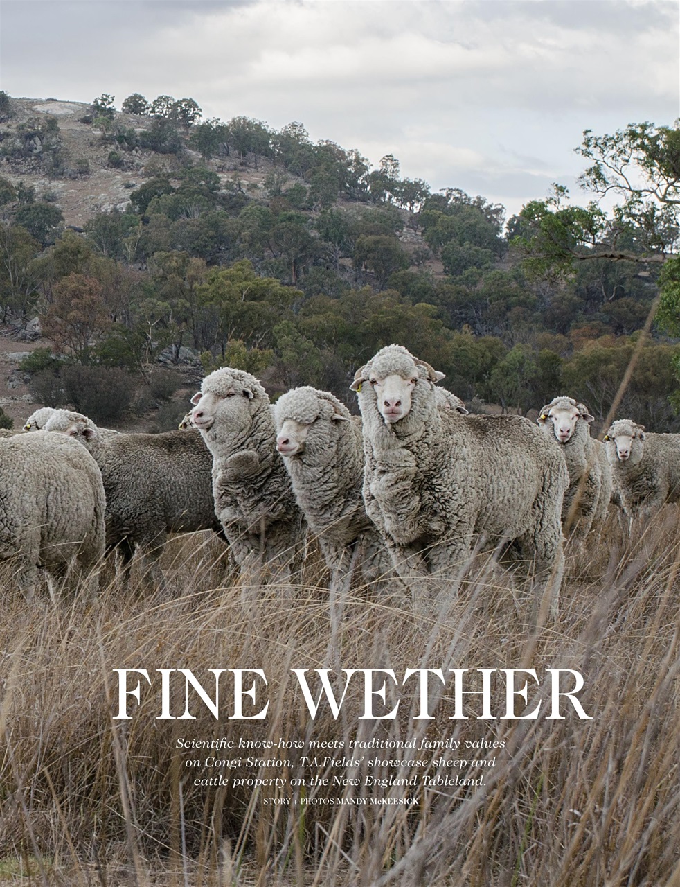 OUTBACK Magazine Preview Pages