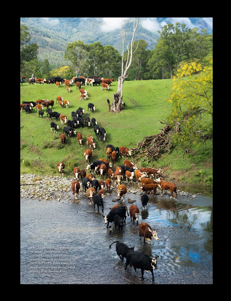 OUTBACK Magazine Preview Pages