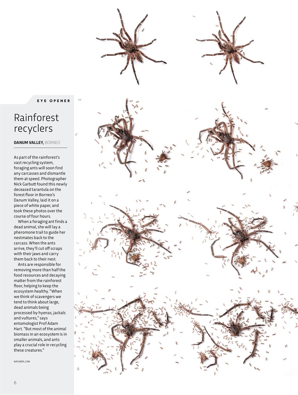 BBC Science Focus Magazine Preview Pages