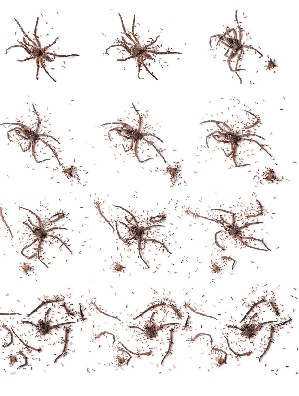 BBC Science Focus Magazine Preview Pages