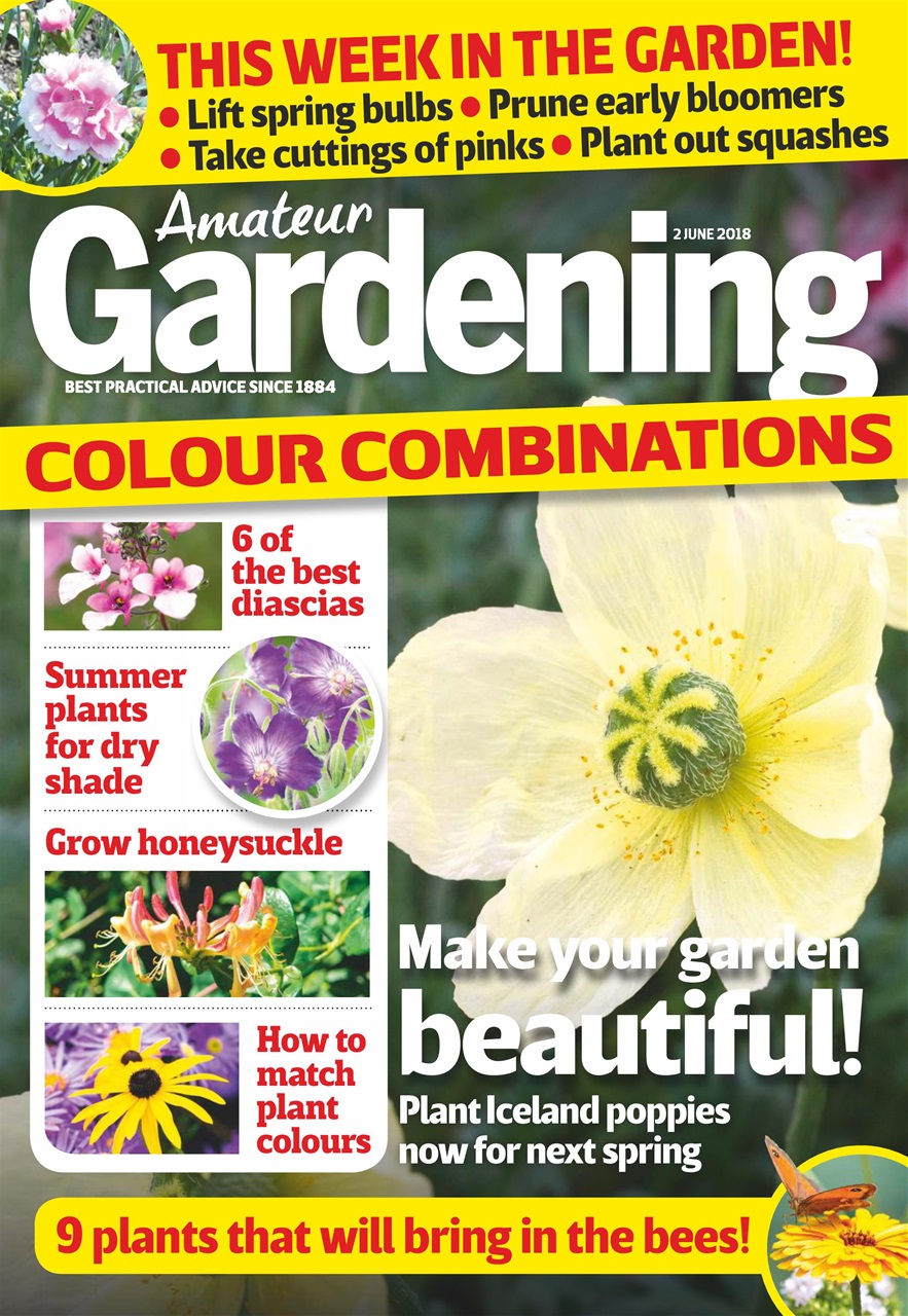 Amateur Gardening Preview Pages