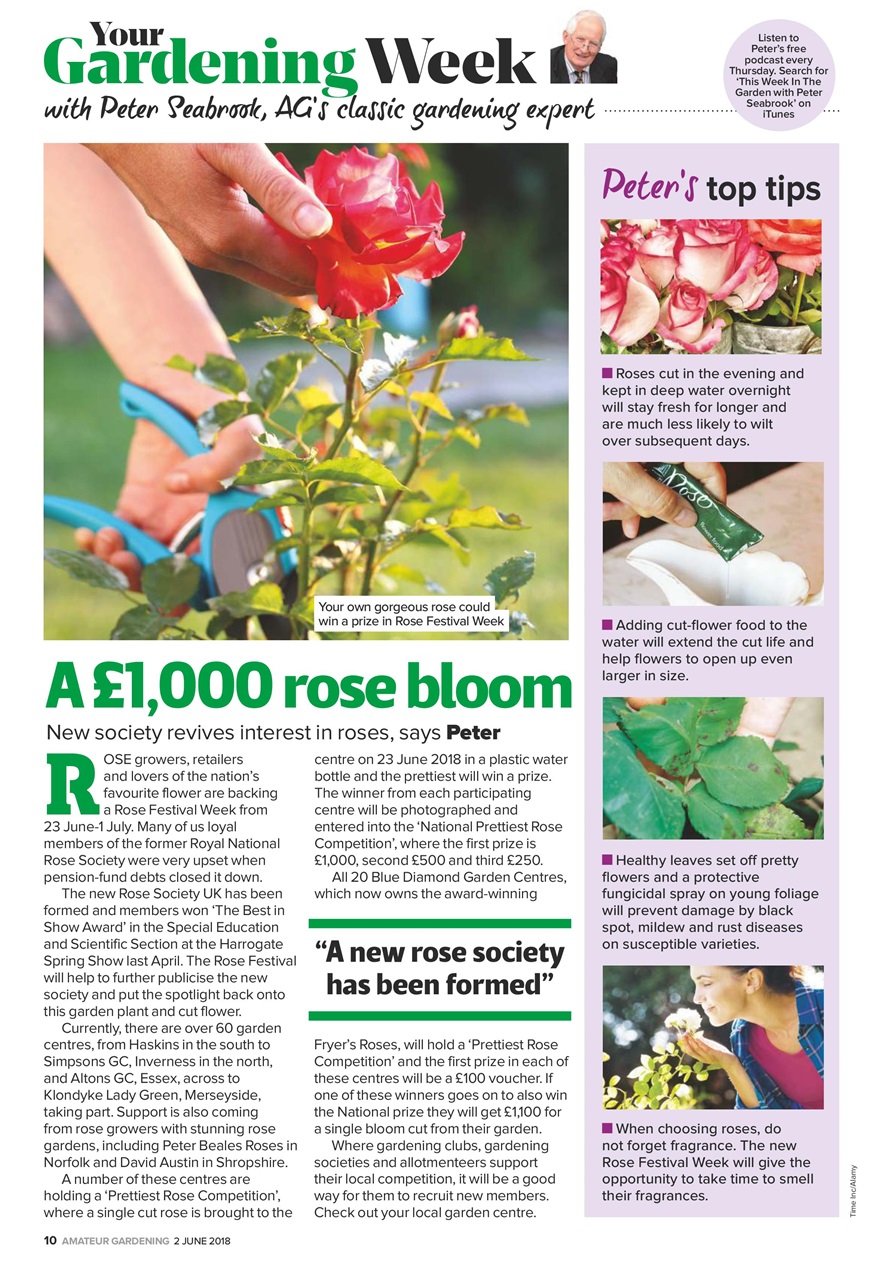 Amateur Gardening Preview Pages
