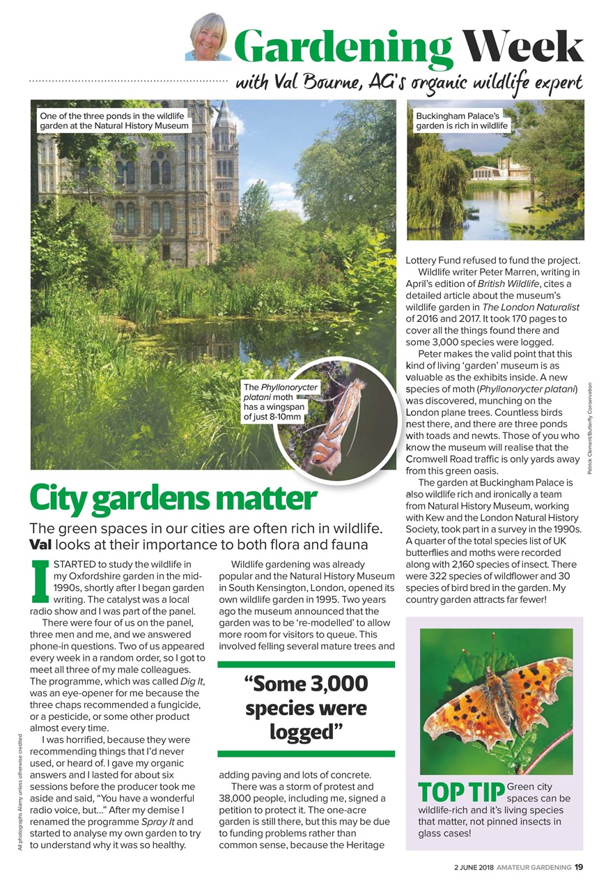 Amateur Gardening Preview Pages