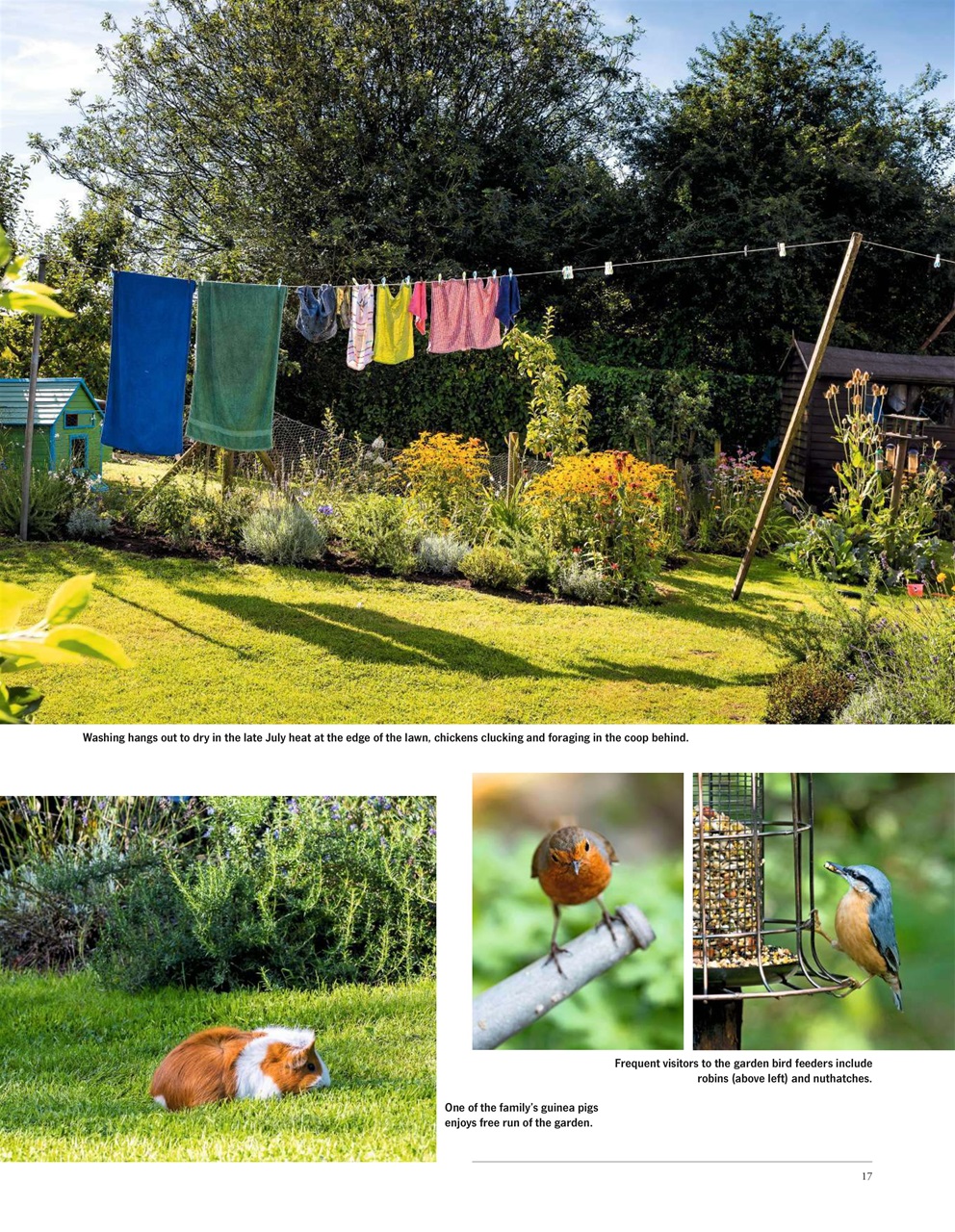 LandScape Preview Pages