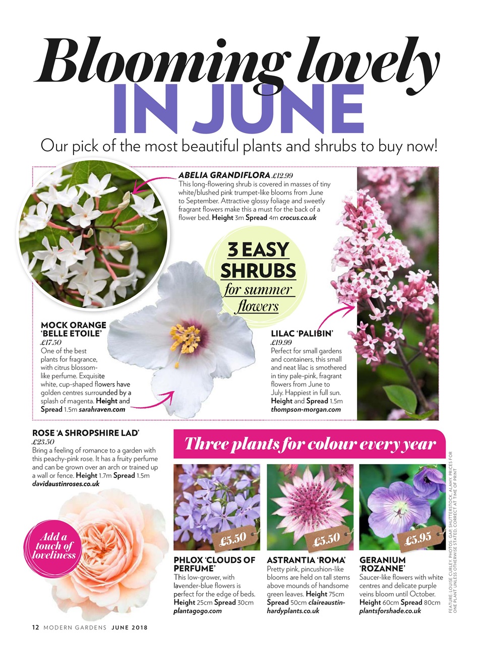 Modern Gardens Preview Pages