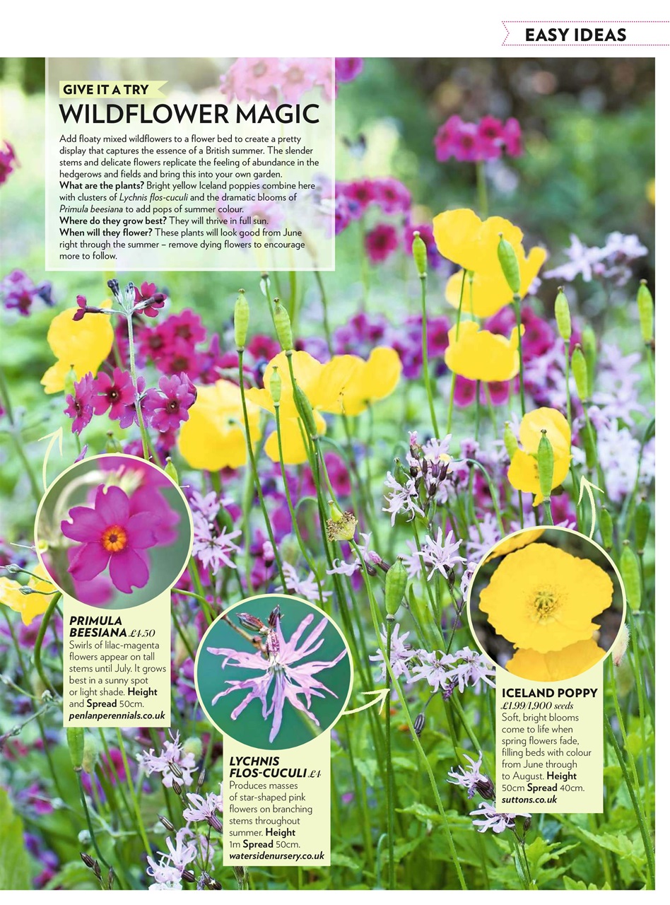 Modern Gardens Preview Pages