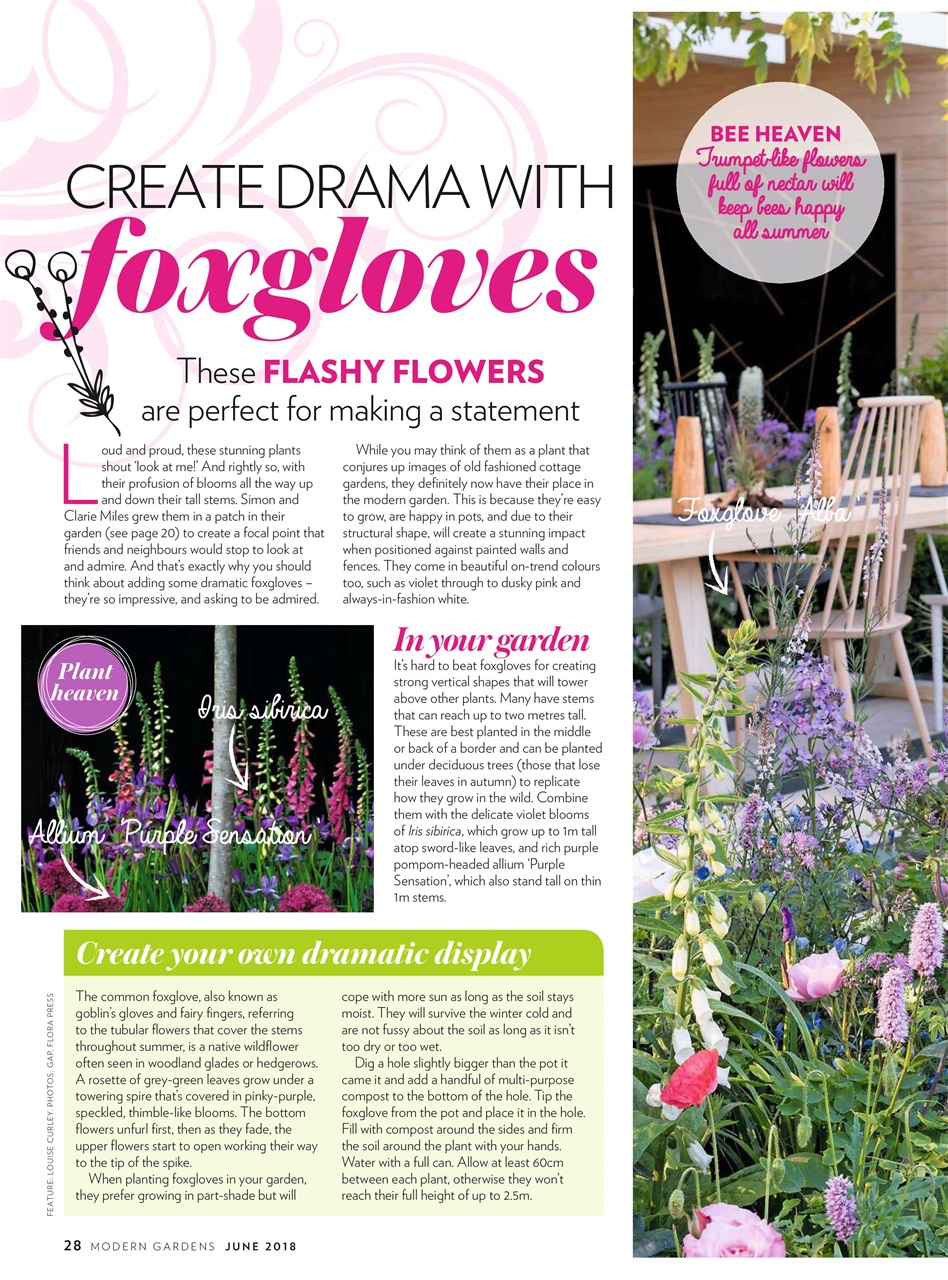 Modern Gardens Preview Pages