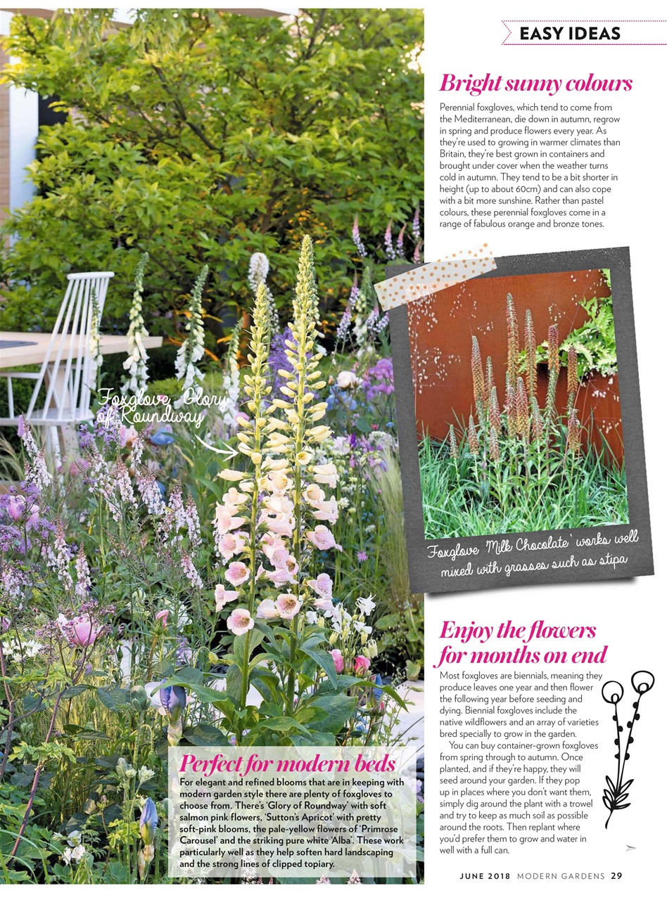 Modern Gardens Preview Pages