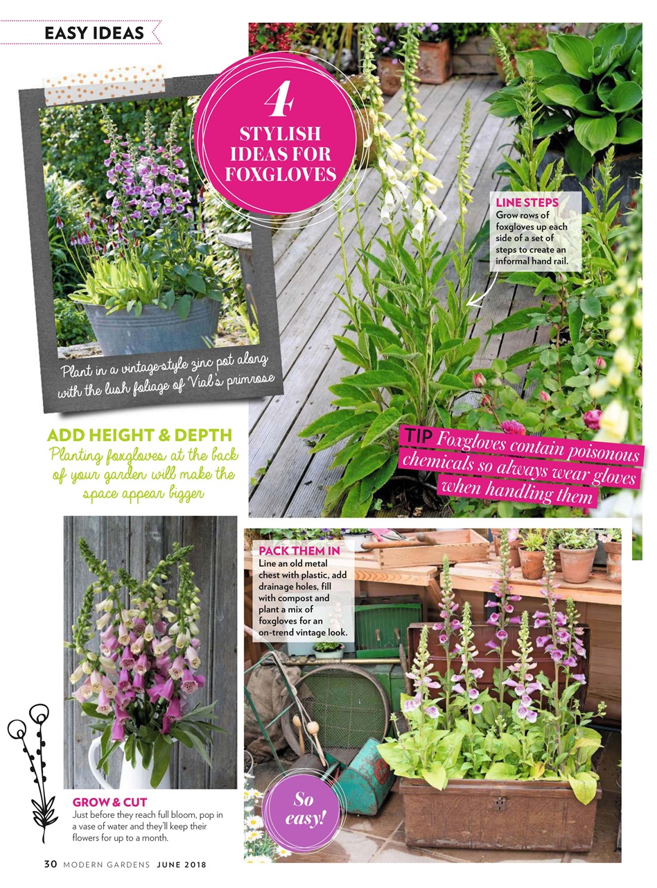 Modern Gardens Preview Pages