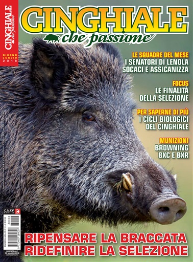 IL CINGHIALE CHE PASSIONE issue 