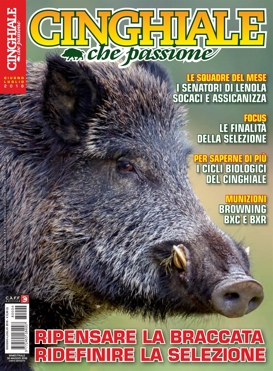 IL CINGHIALE CHE PASSIONE Preview Pages