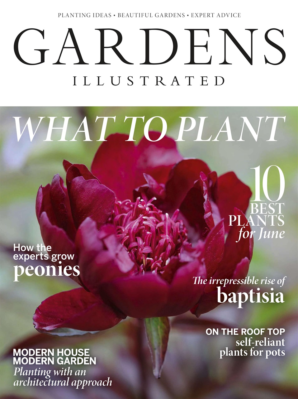 Gardens Illustrated Preview Pages