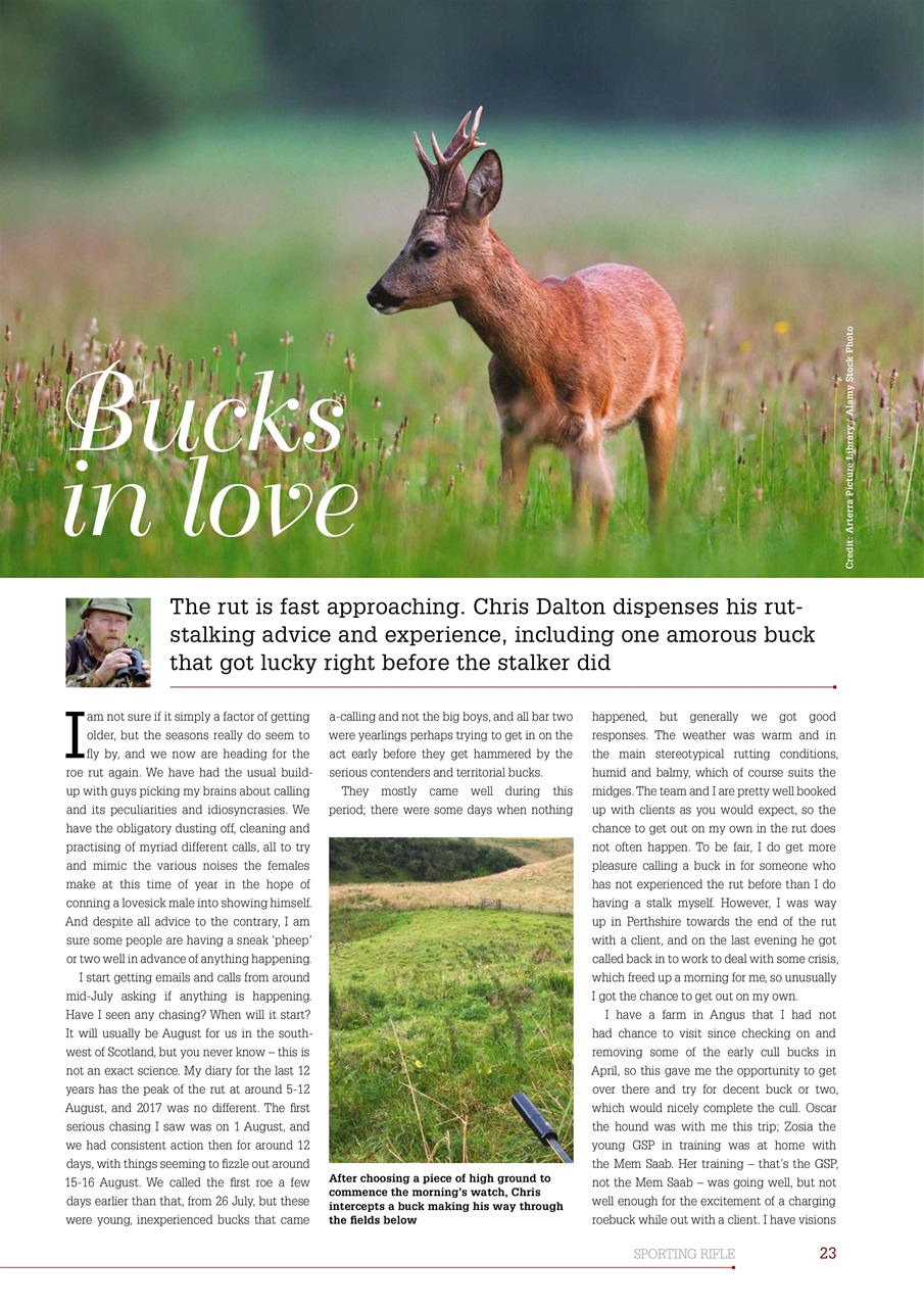 Sporting Rifle Preview Pages