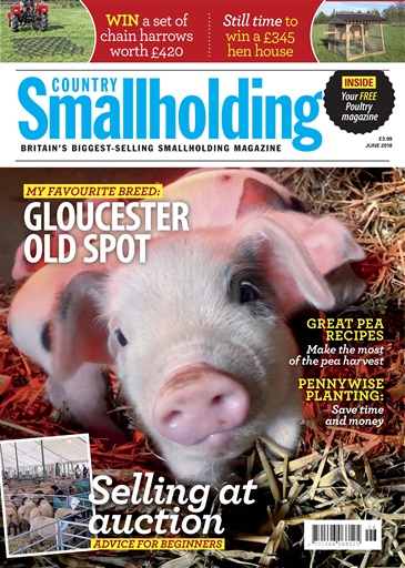 The Country Smallholder issue 