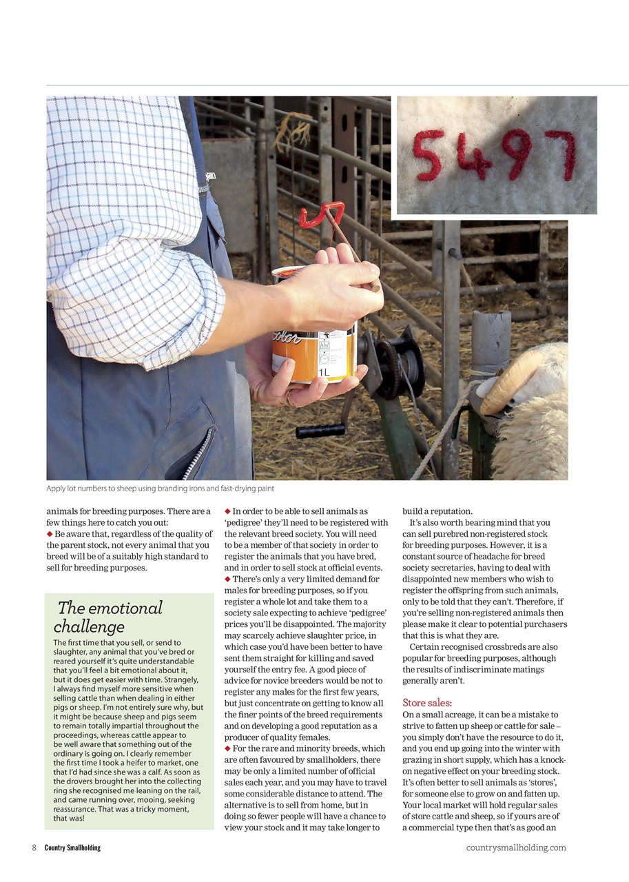 The Country Smallholder Preview Pages