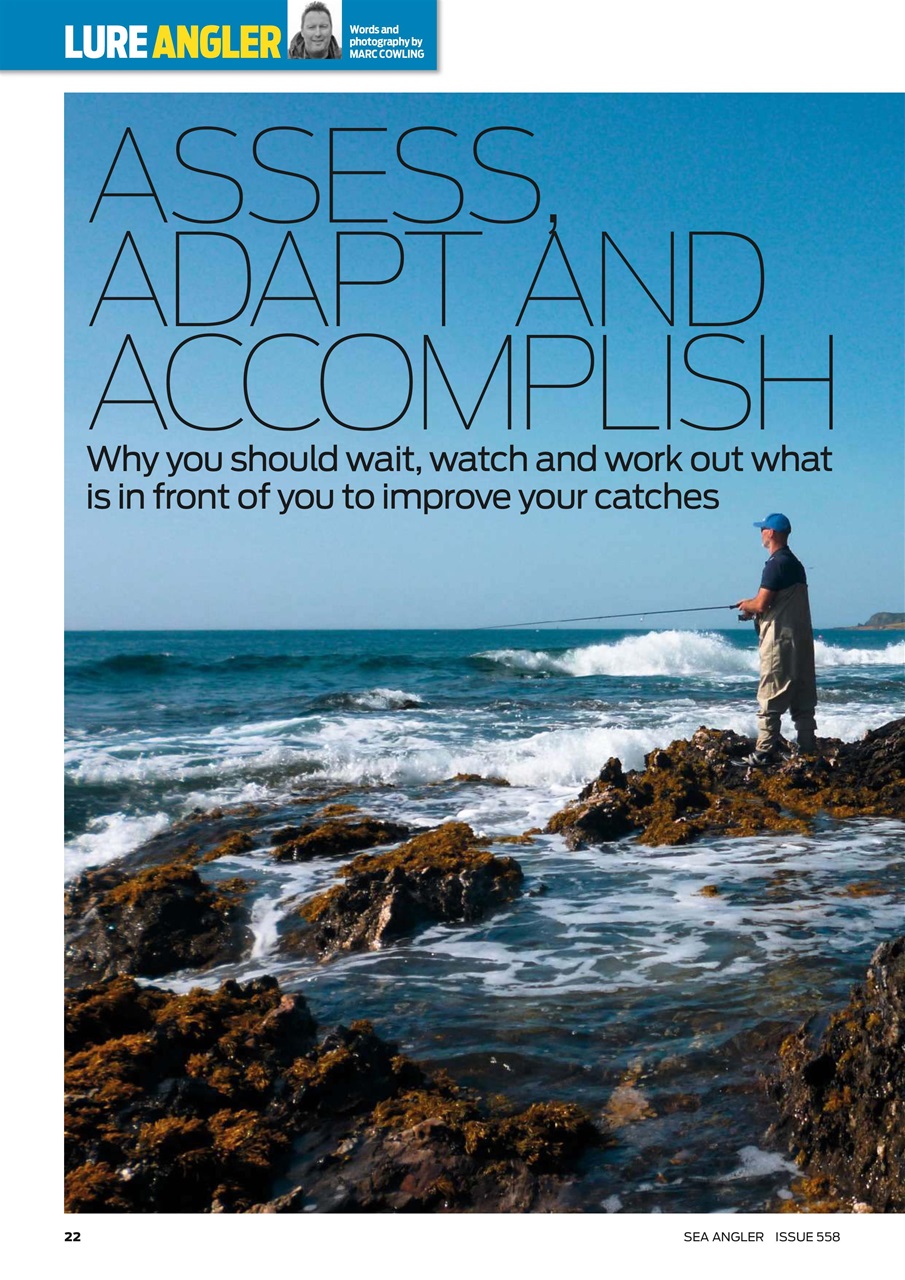 Sea Angler Preview Pages