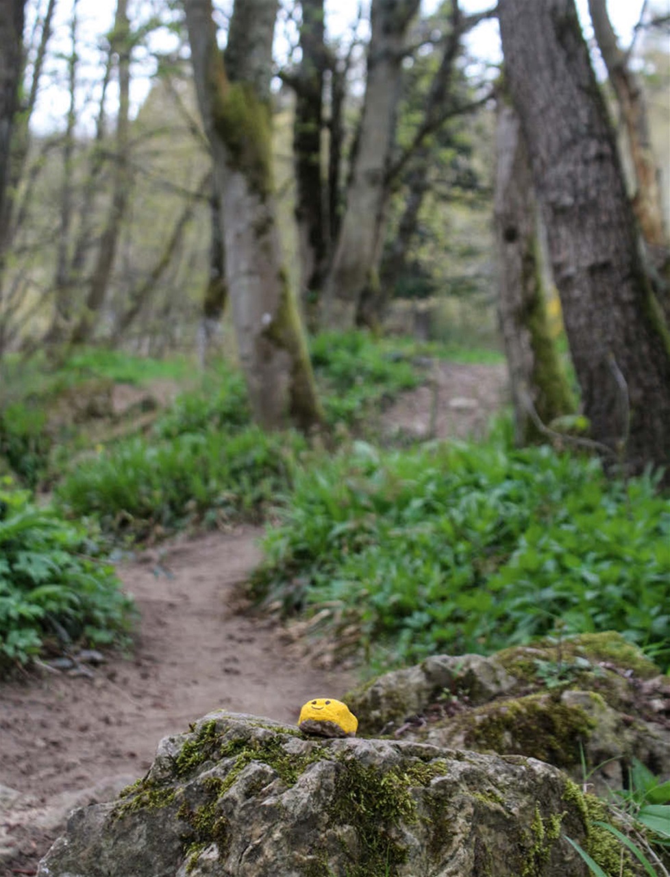 Singletrack Preview Pages