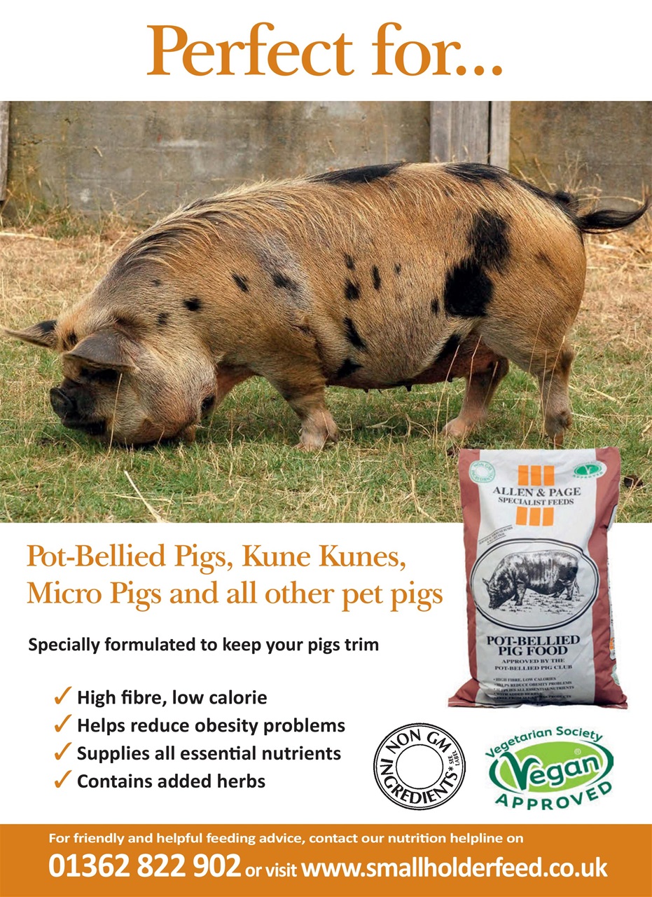 Practical Pigs Preview Pages