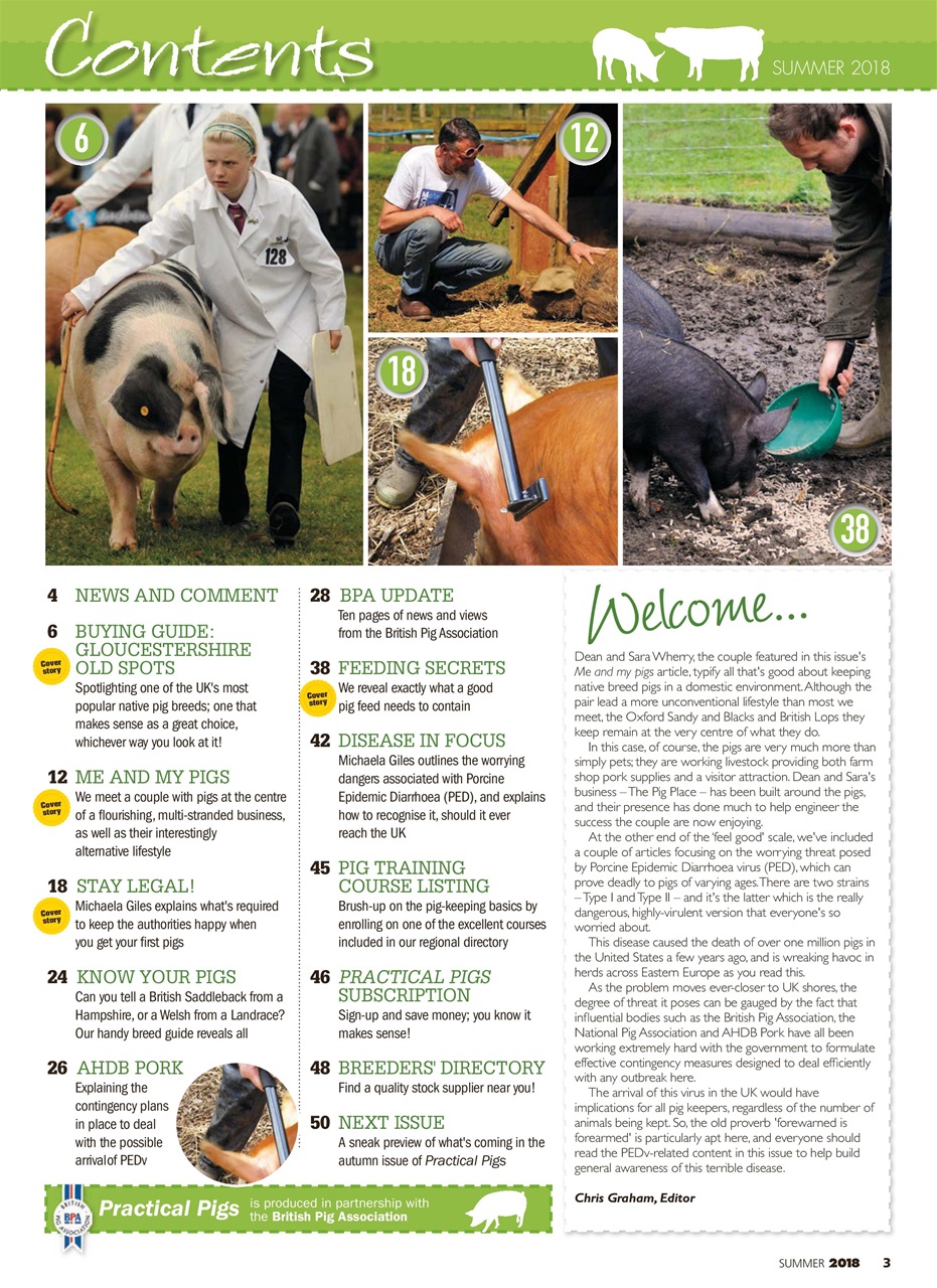 Practical Pigs Preview Pages