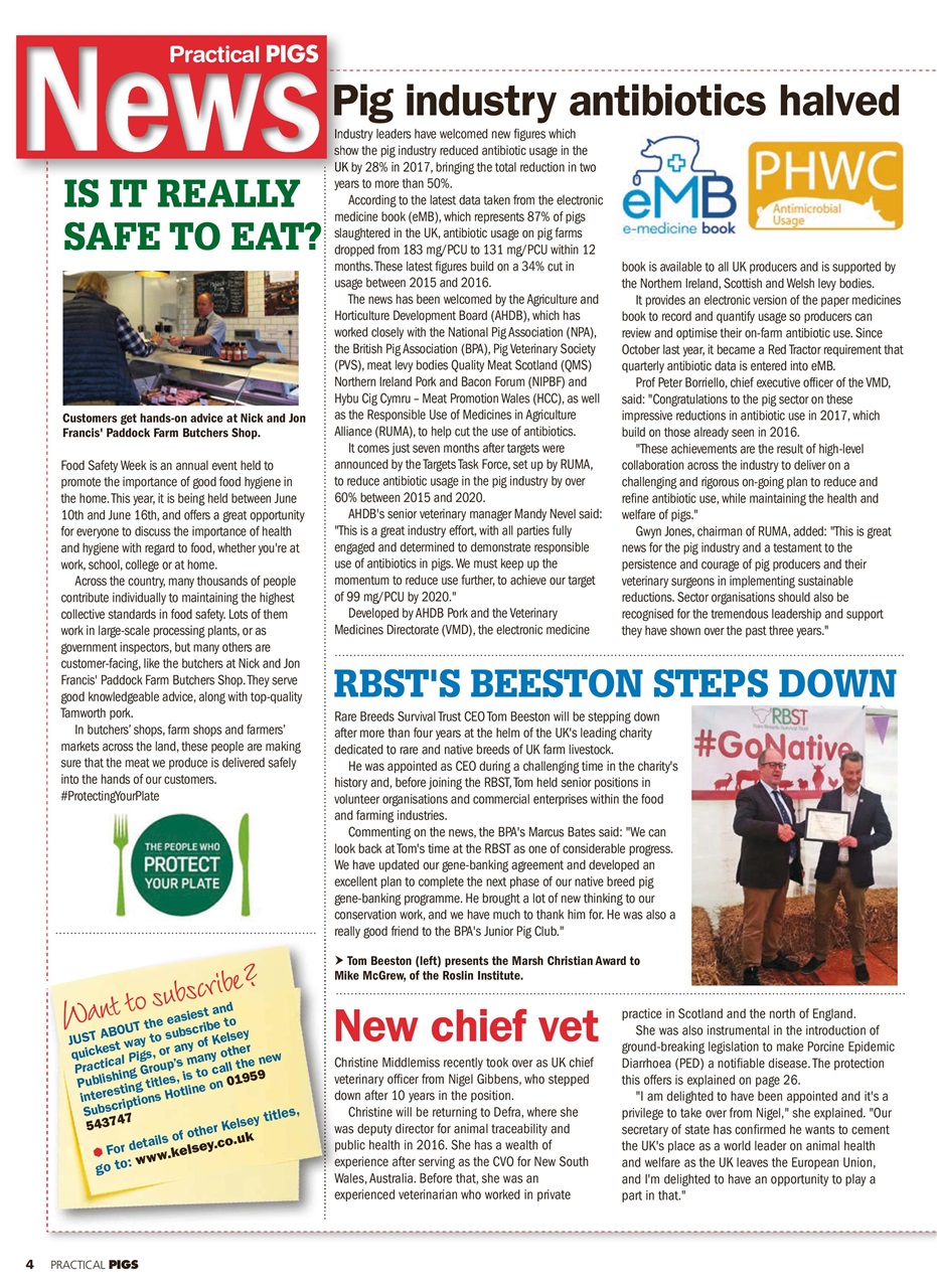 Practical Pigs Preview Pages