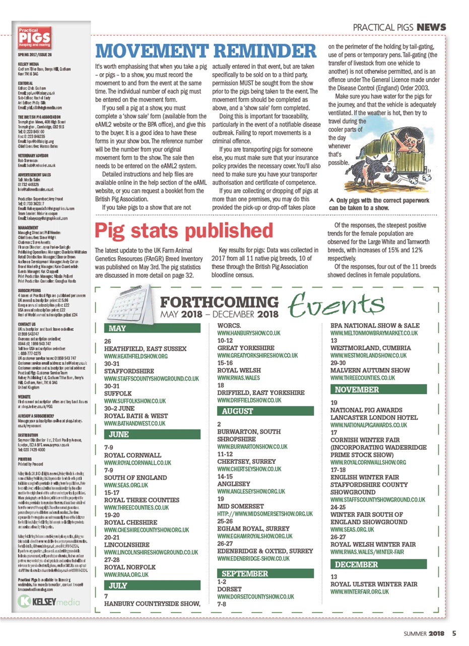 Practical Pigs Preview Pages