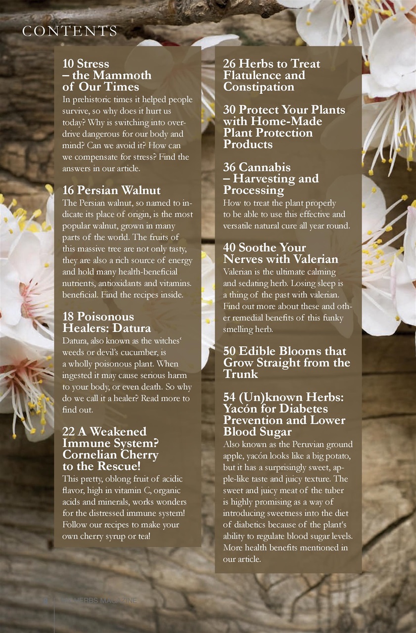 My Herbs Magazine Preview Pages