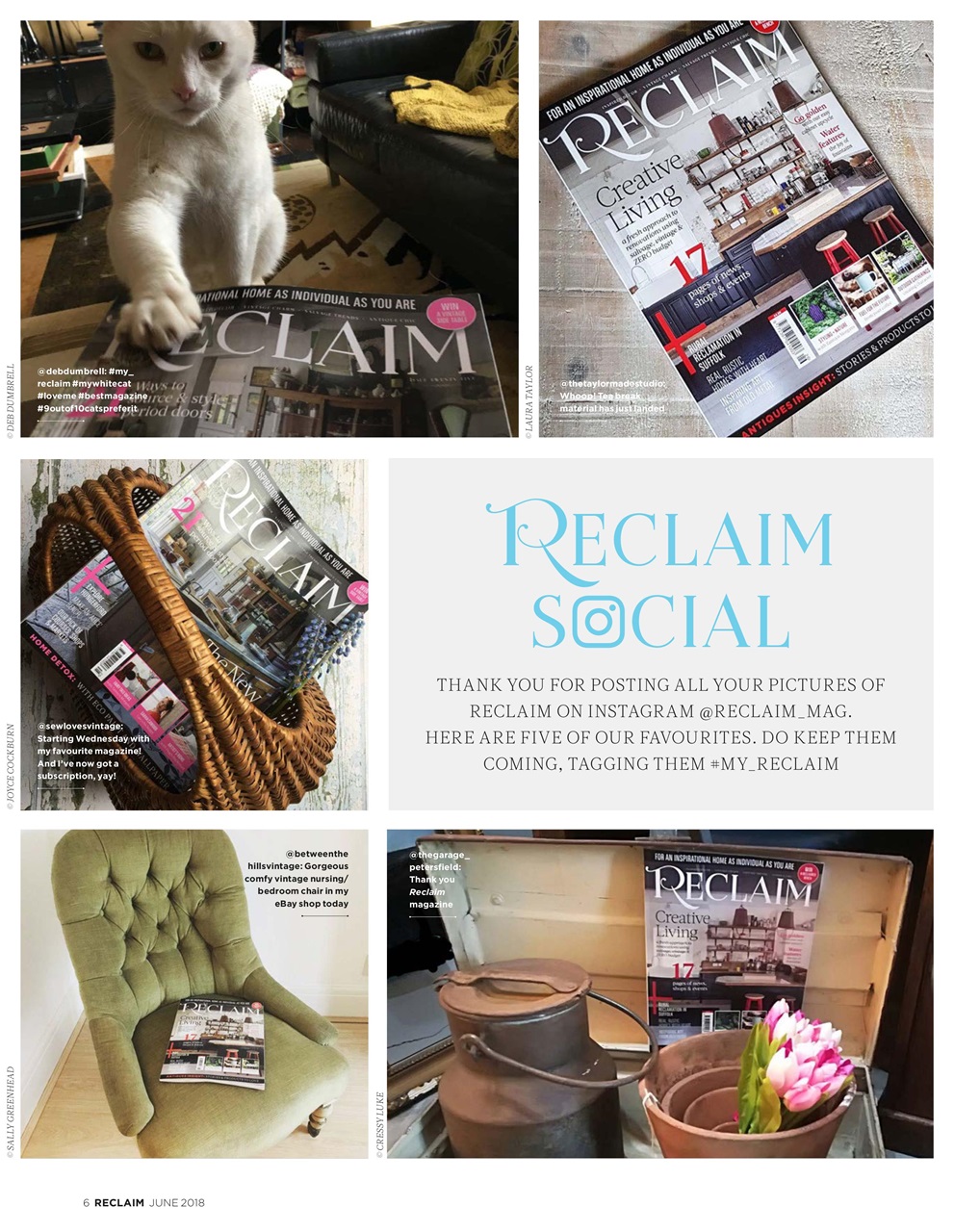 Reclaim Preview Pages