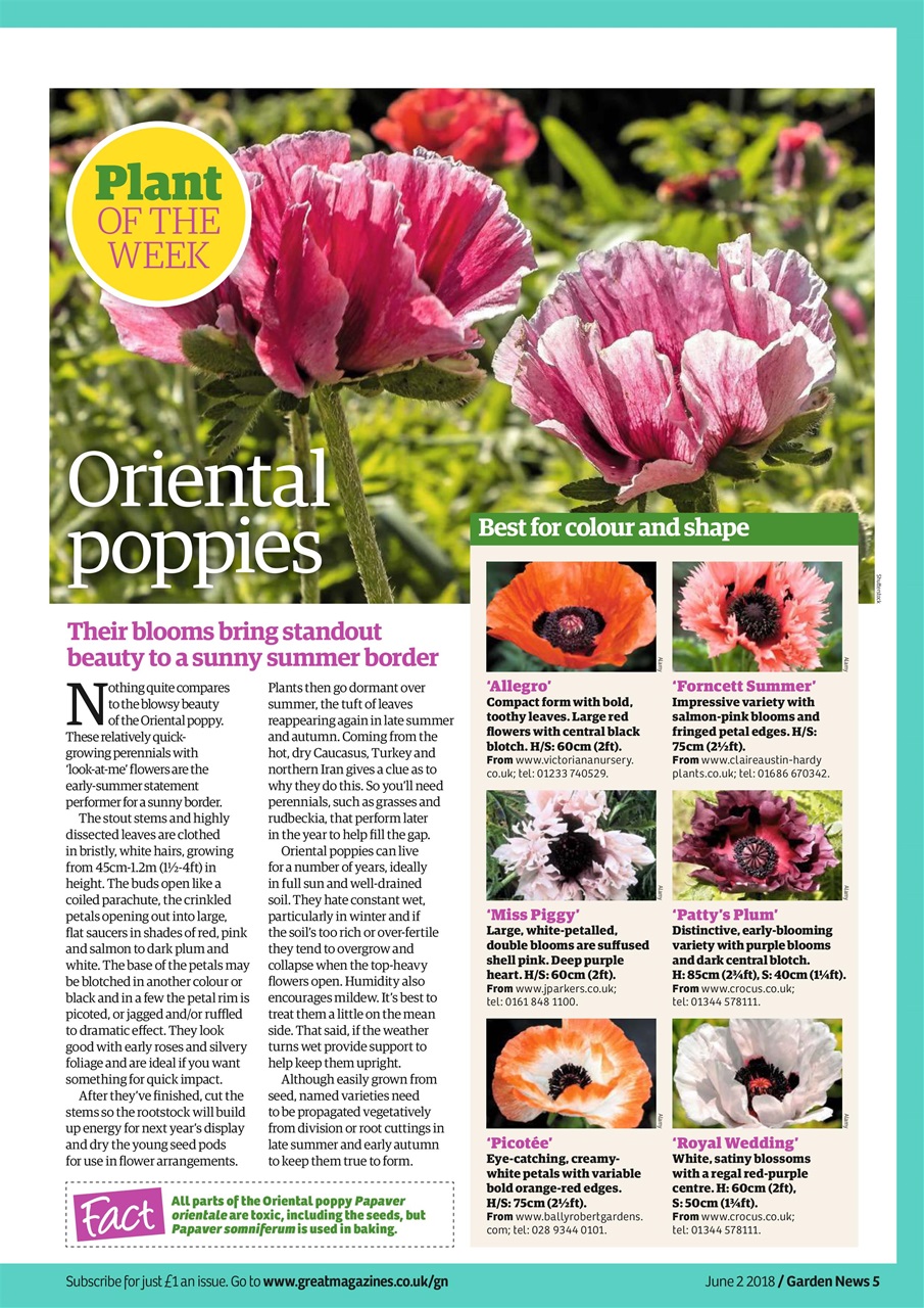 Garden News Preview Pages