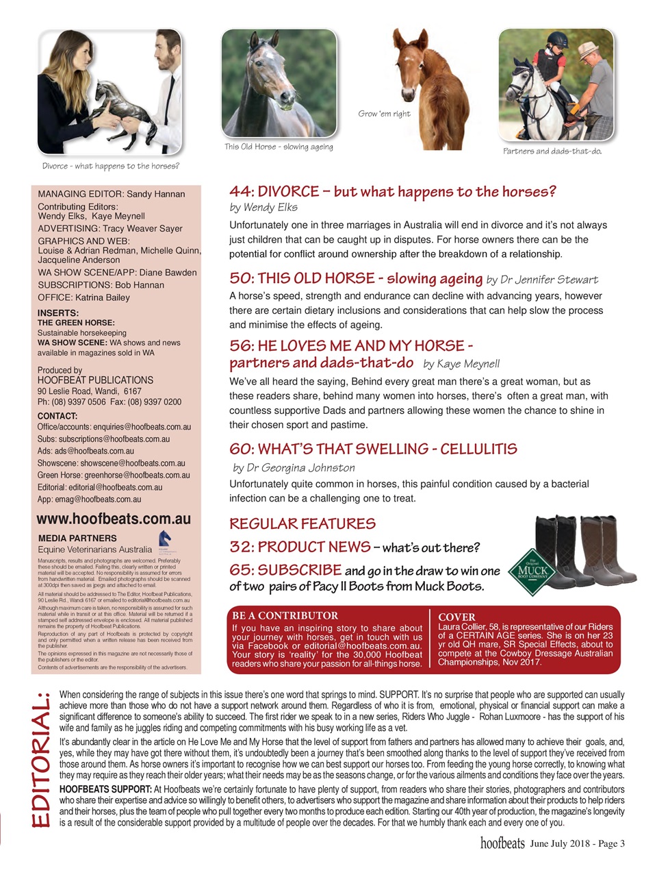 Hoofbeats Preview Pages