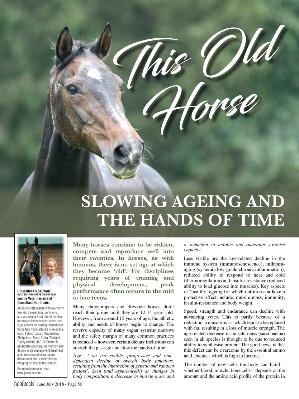 Hoofbeats Preview Pages