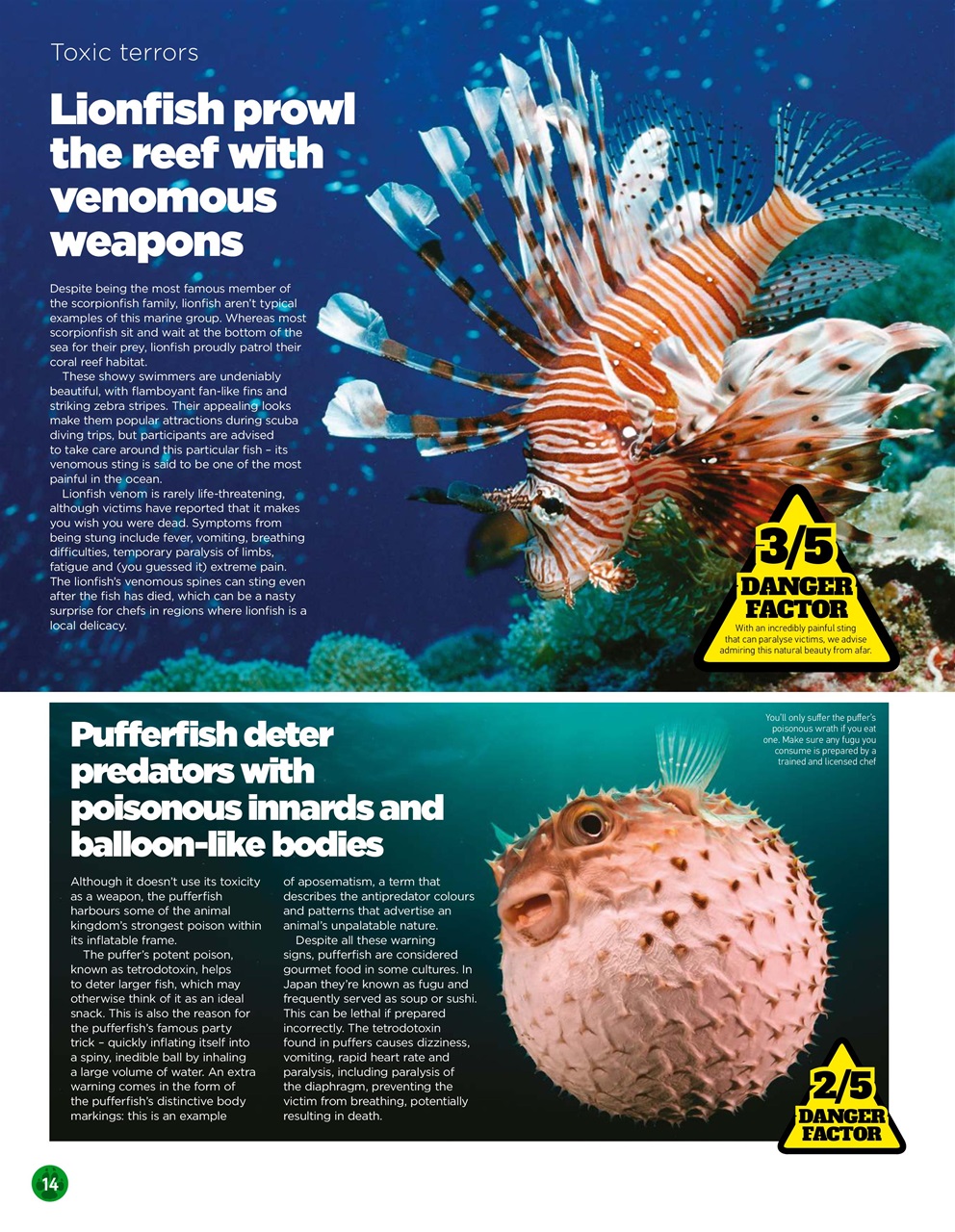 World of Animals Preview Pages