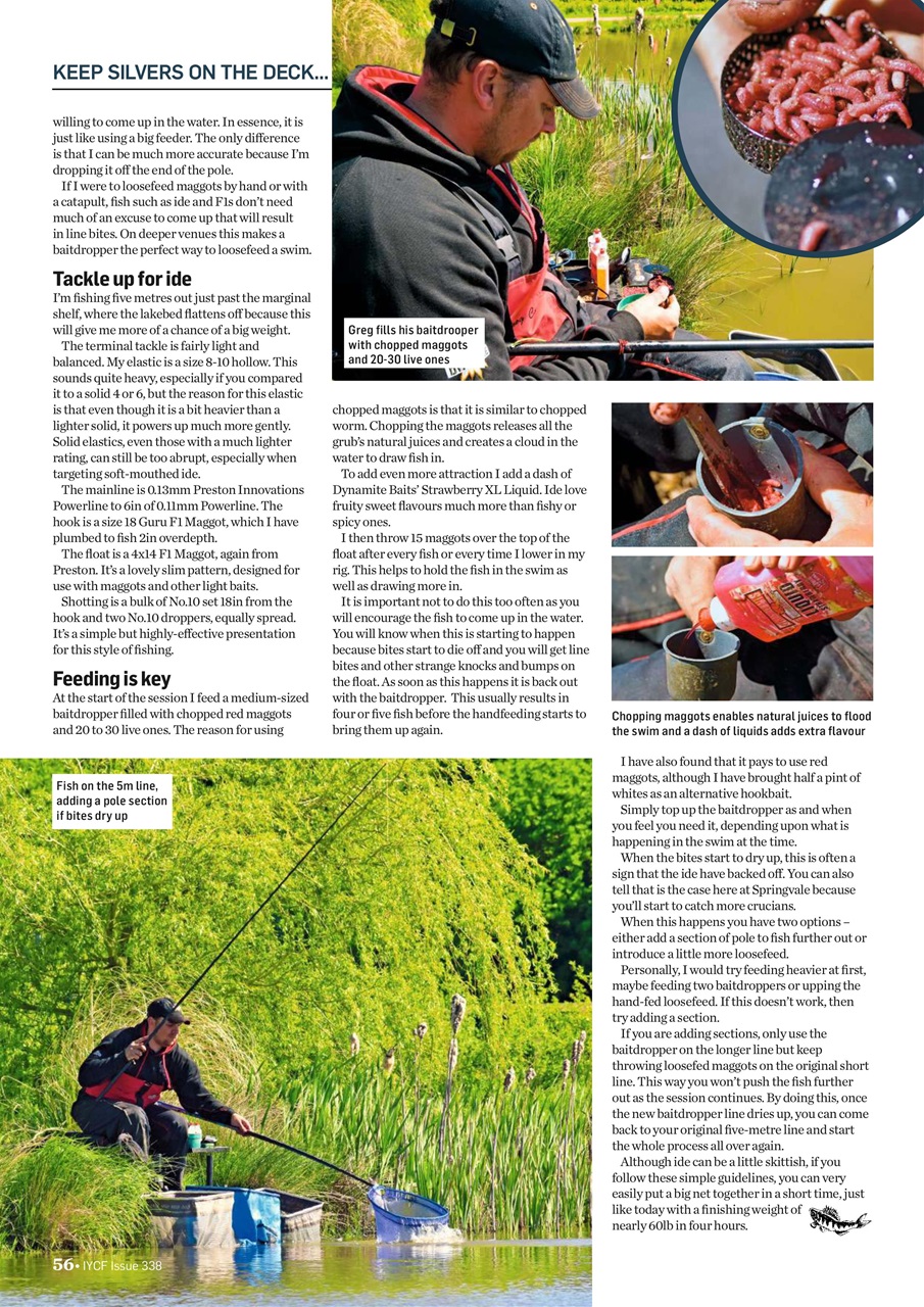Improve Your Coarse Fishing Preview Pages
