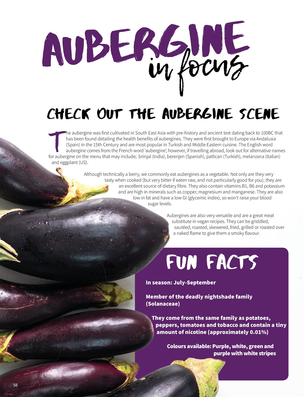 PlantBased Preview Pages