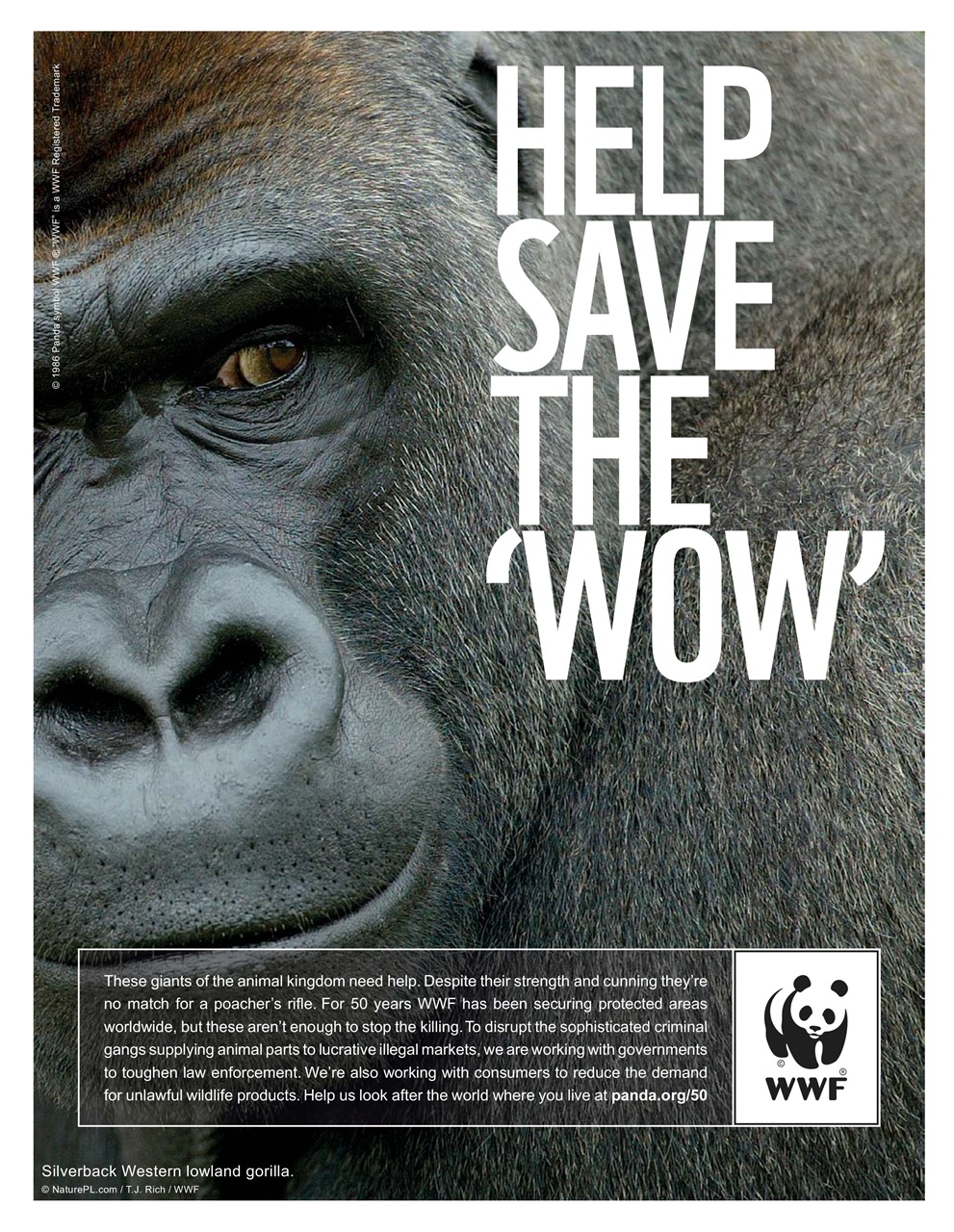 Newsweek International Preview Pages