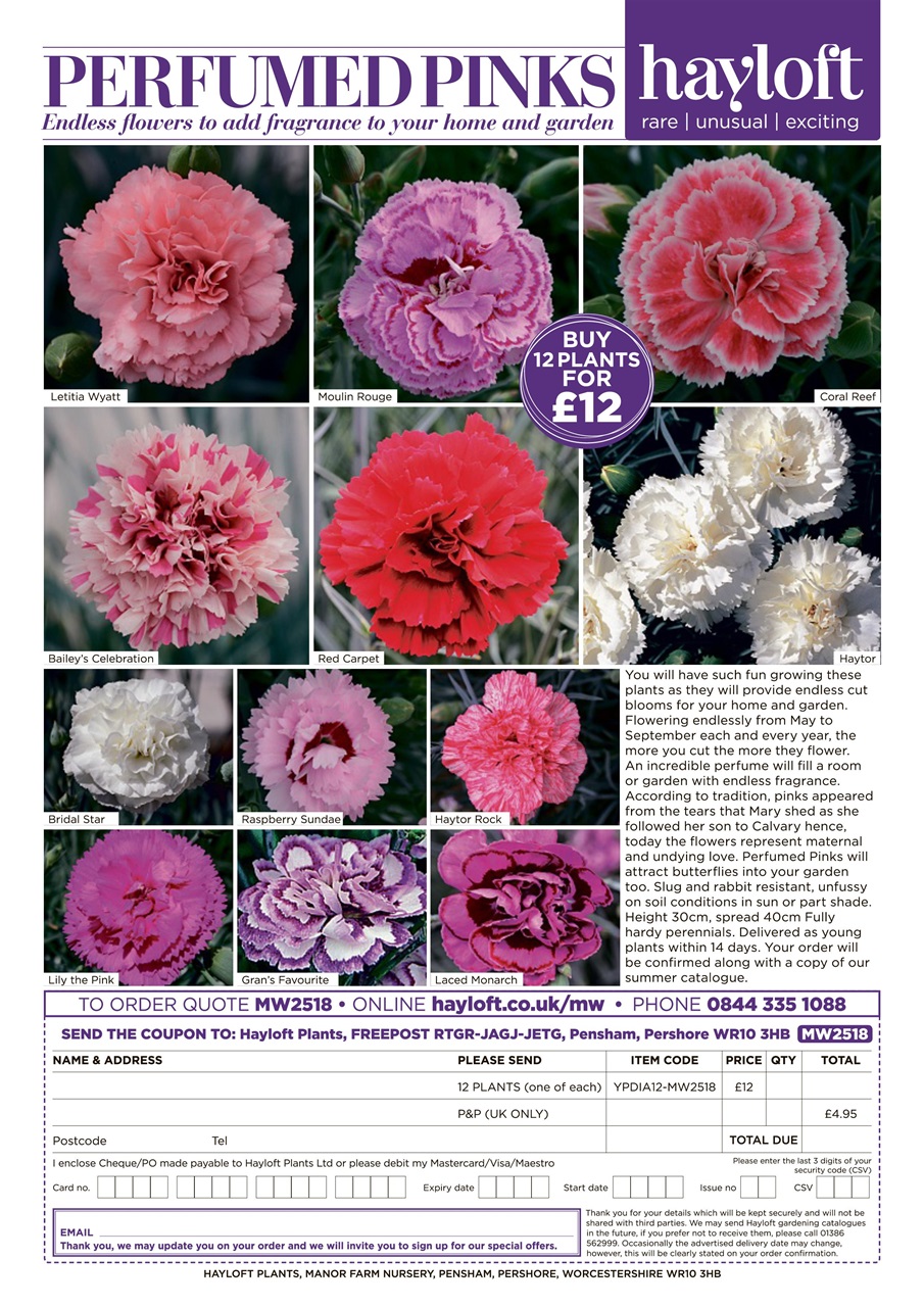 My Weekly Preview Pages