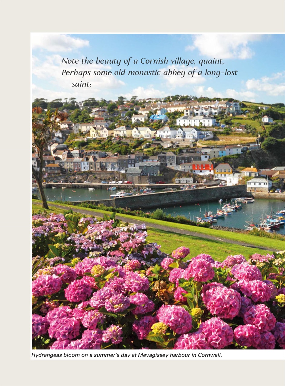 Evergreen Preview Pages