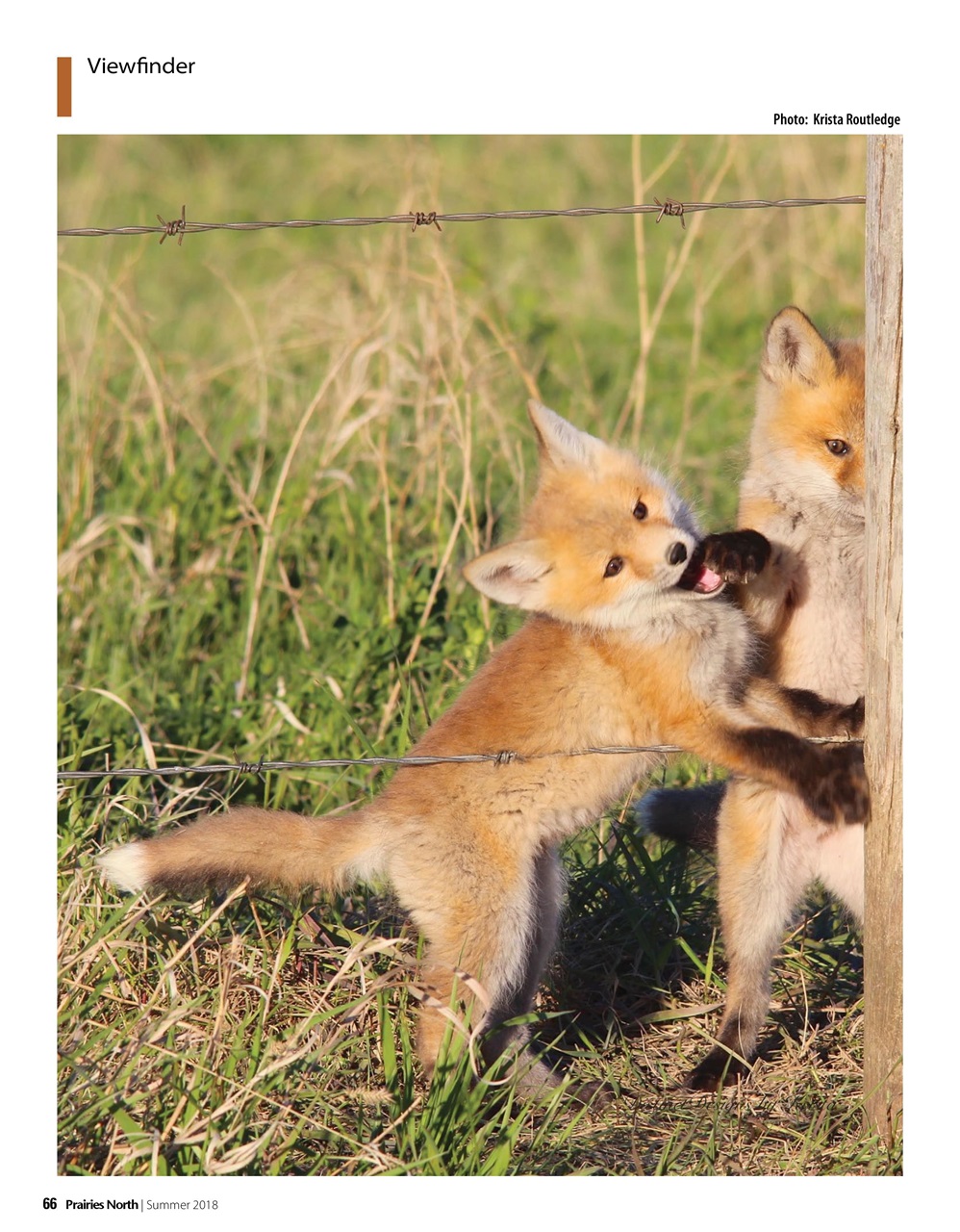 Prairies North Magazine Preview Pages