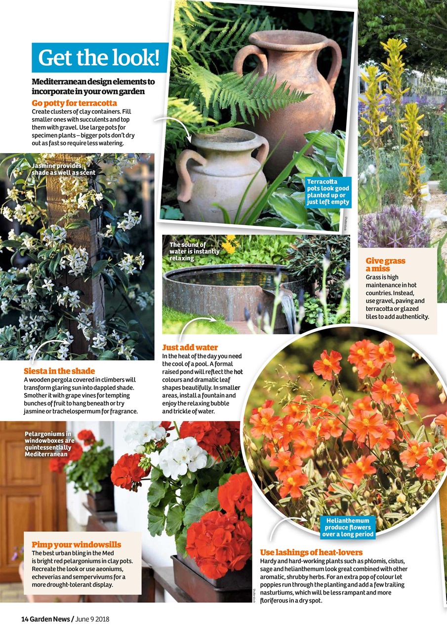 Garden News Preview Pages