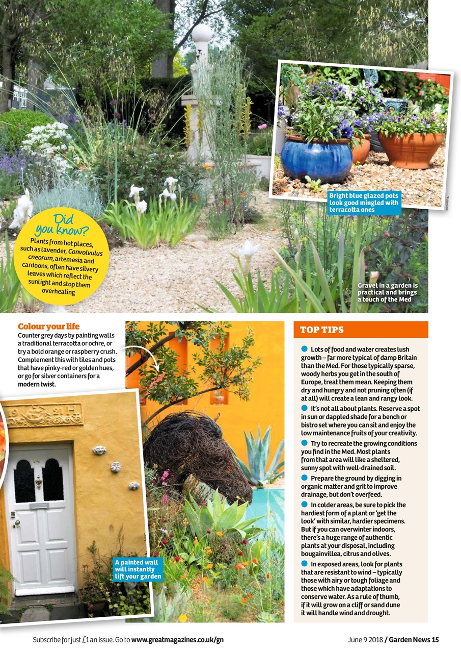 Garden News Preview Pages
